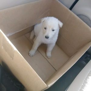 Meet your Posher, Xiomara